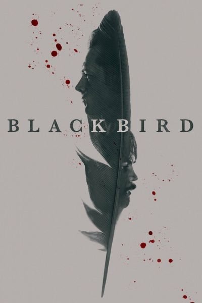 Постер сериала Чёрная птица