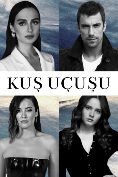Постер сериала Полёт птицы