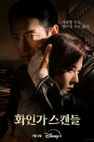 Постер сериала Красный лебедь